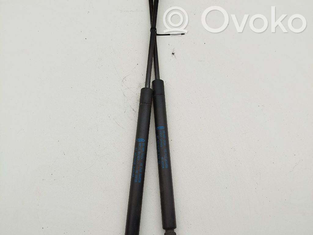 Tailgate/trunk strut/damper   1025425