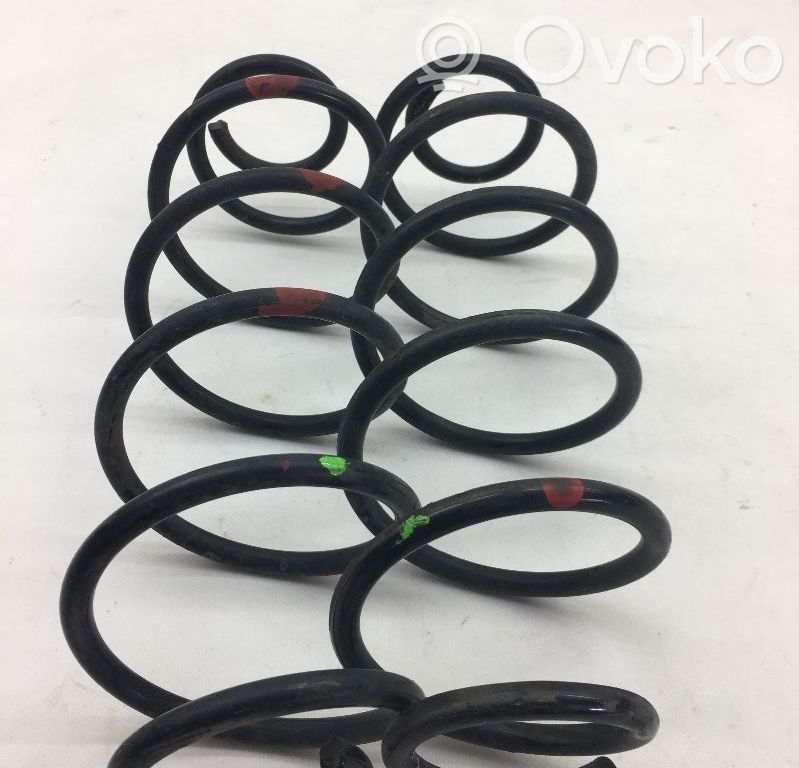 Rear coil spring