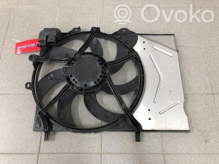 Engine control unit/module fan   03641929