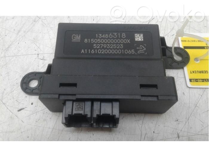Other control units/modules   13486318