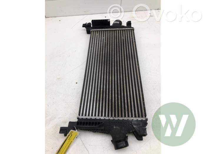 Intercooler radiator