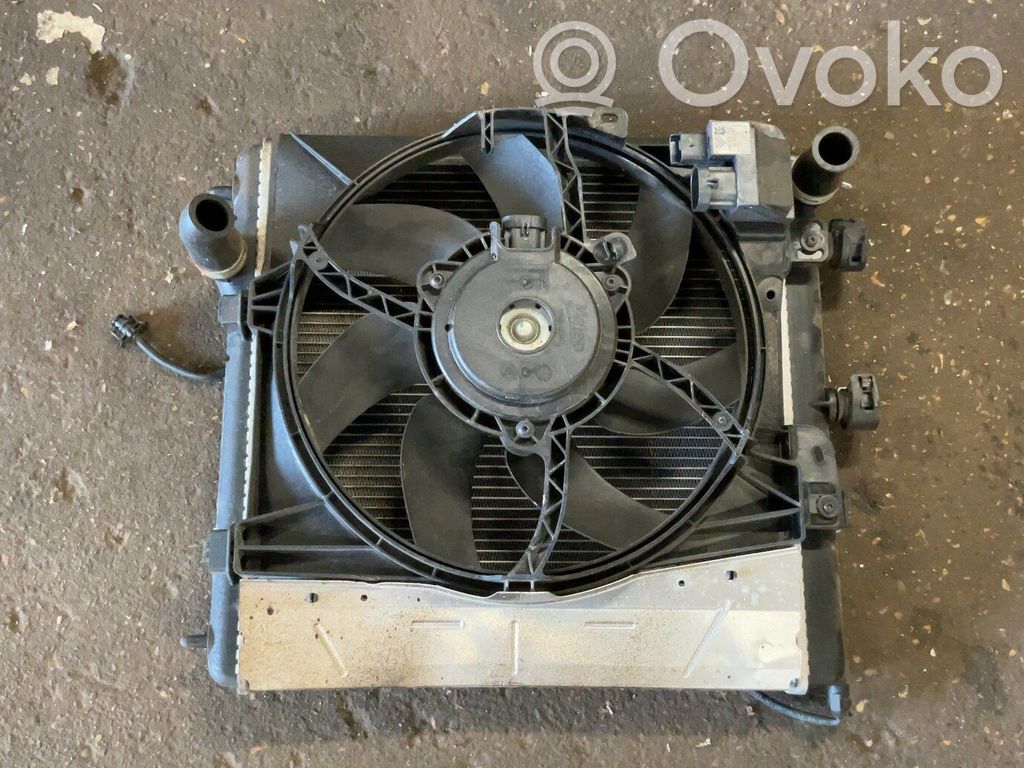 Elektrolüfter   9812028580,9812028580