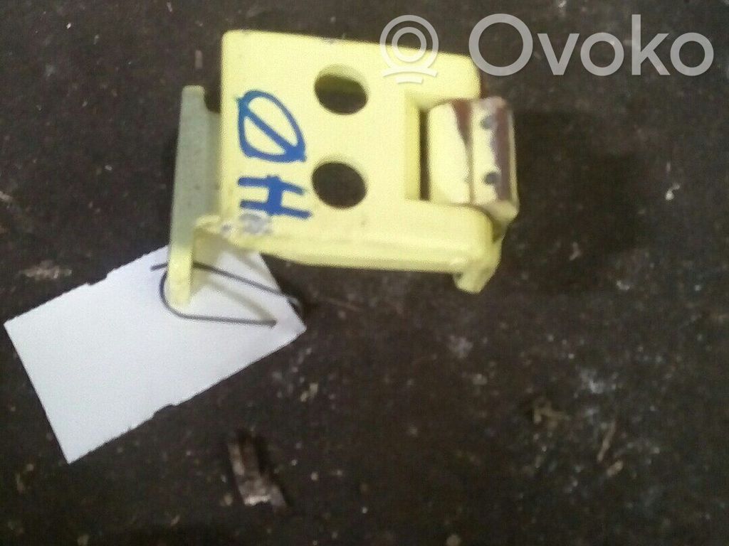 Volkswagen Crafter Front door hinge set 