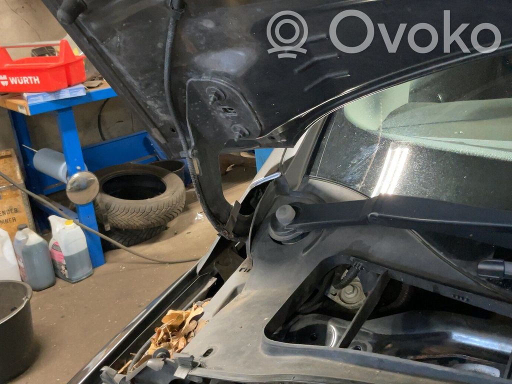 Ford Focus Dzinēja pārsega eņģe (-es) 
