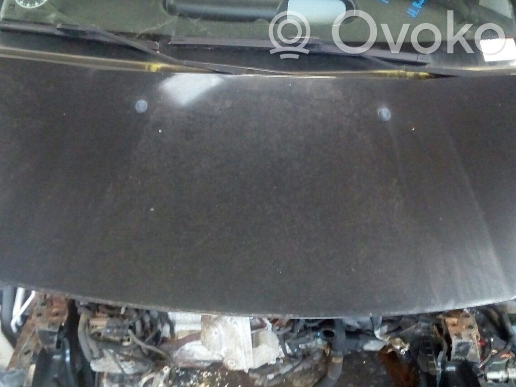 Engine bonnet/hood   7901Q7