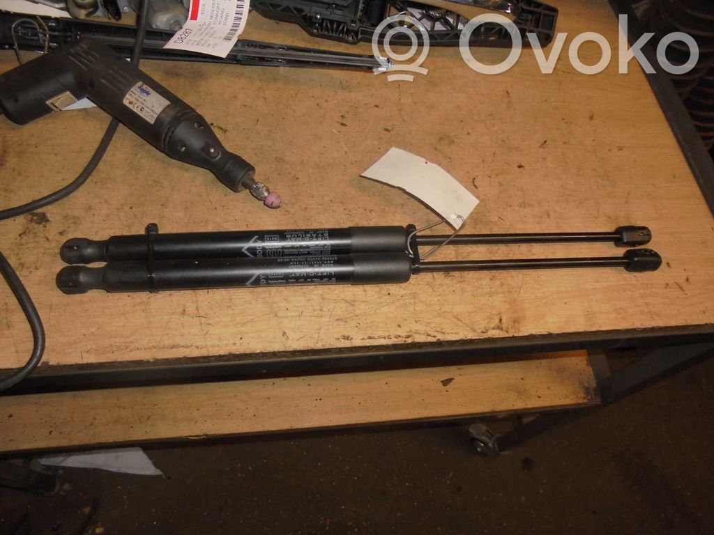 Fiat 500X Tailgate/trunk strut/damper 