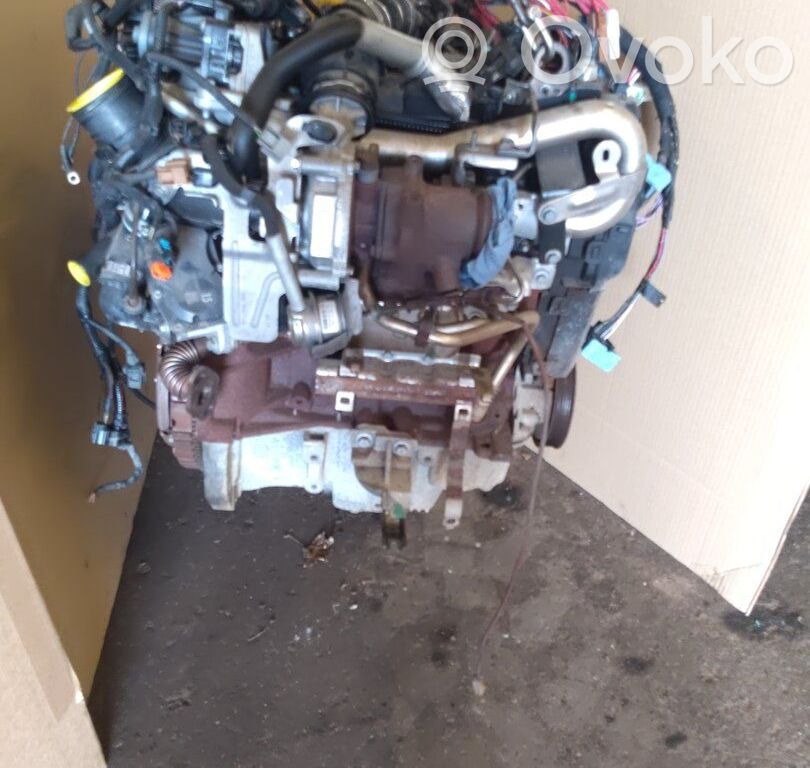 Engine   8201585152,K9KE6,K9K,8201585152,8201730185,K9K608,K9K628,K9K808