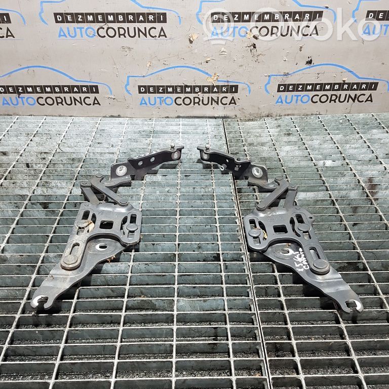 Engine bonnet/hood hinges   7148347,7148348