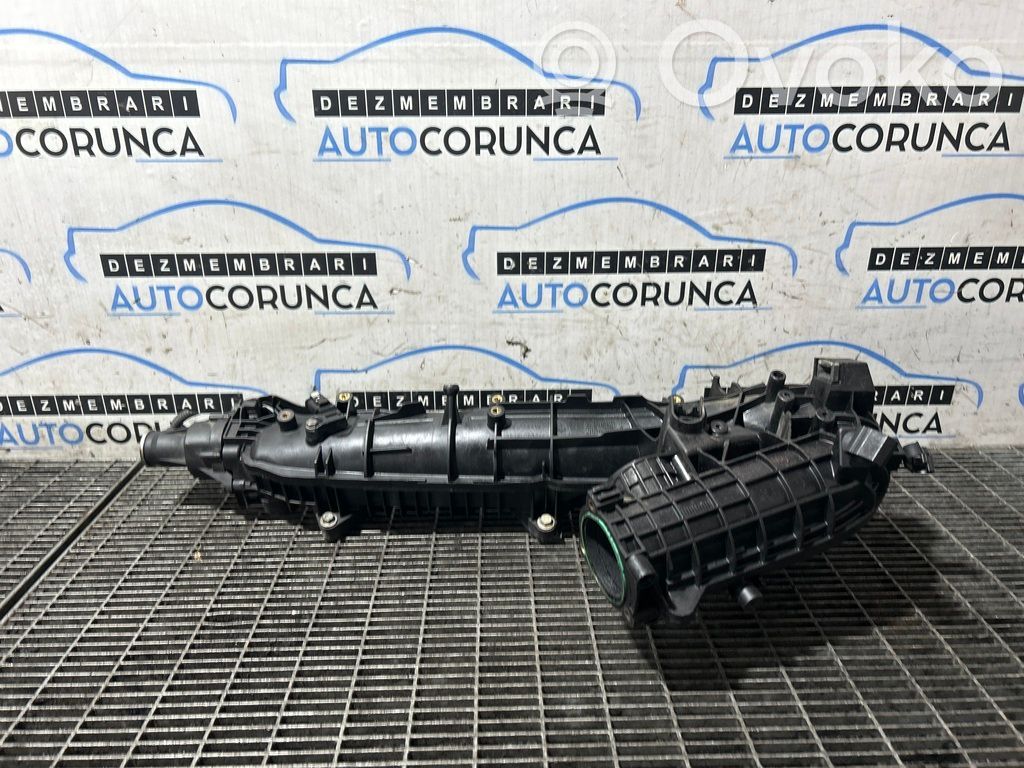 Imusarja   850723302