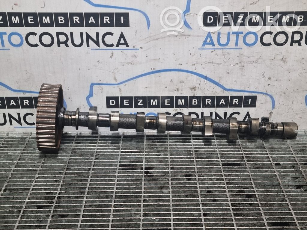 Sadales vārpsta   130242580R