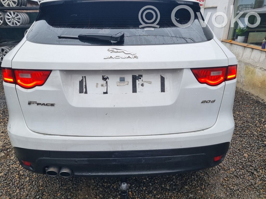 Tailgate/trunk/boot lid