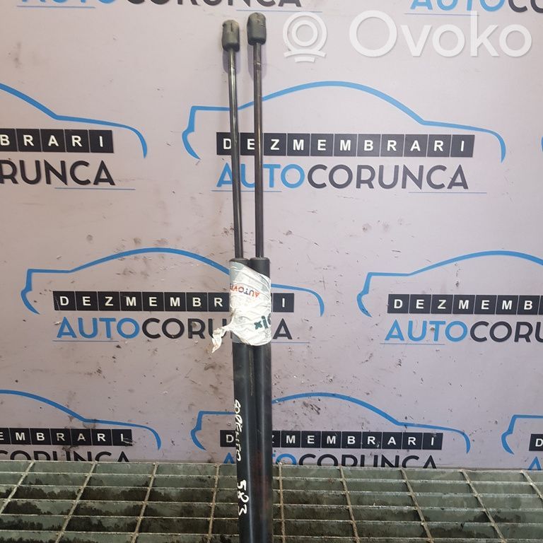Tailgate/trunk strut/damper