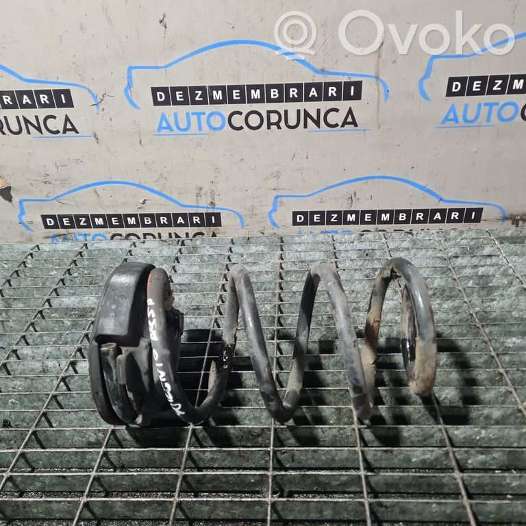 Rear coil spring