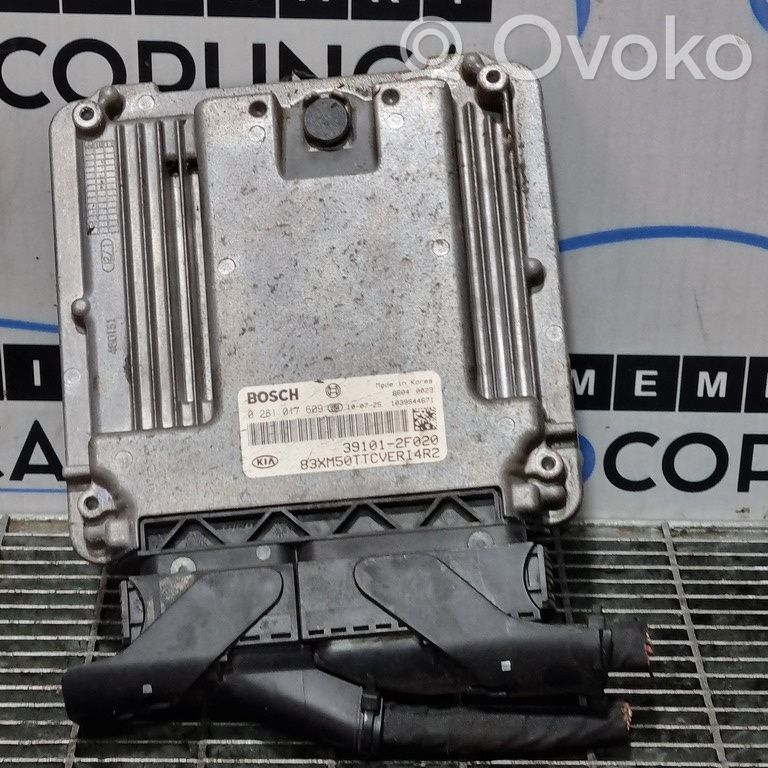 Engine control unit/module ECU   391012F020