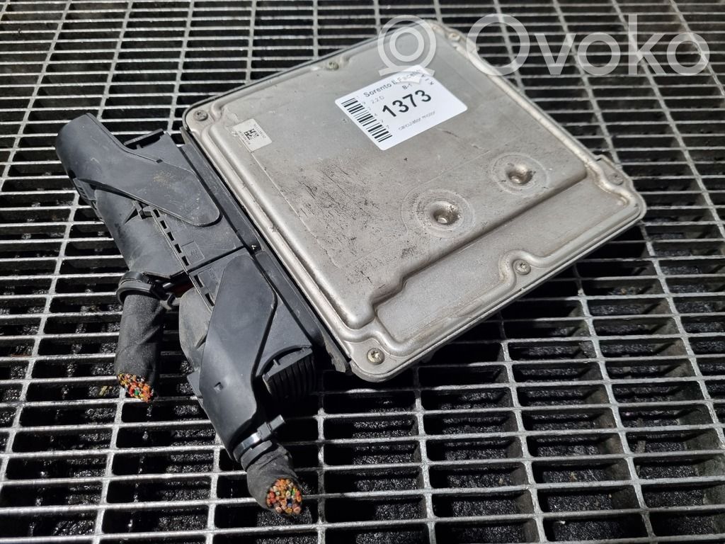 KIA Sorento Engine control unit/module ECU 