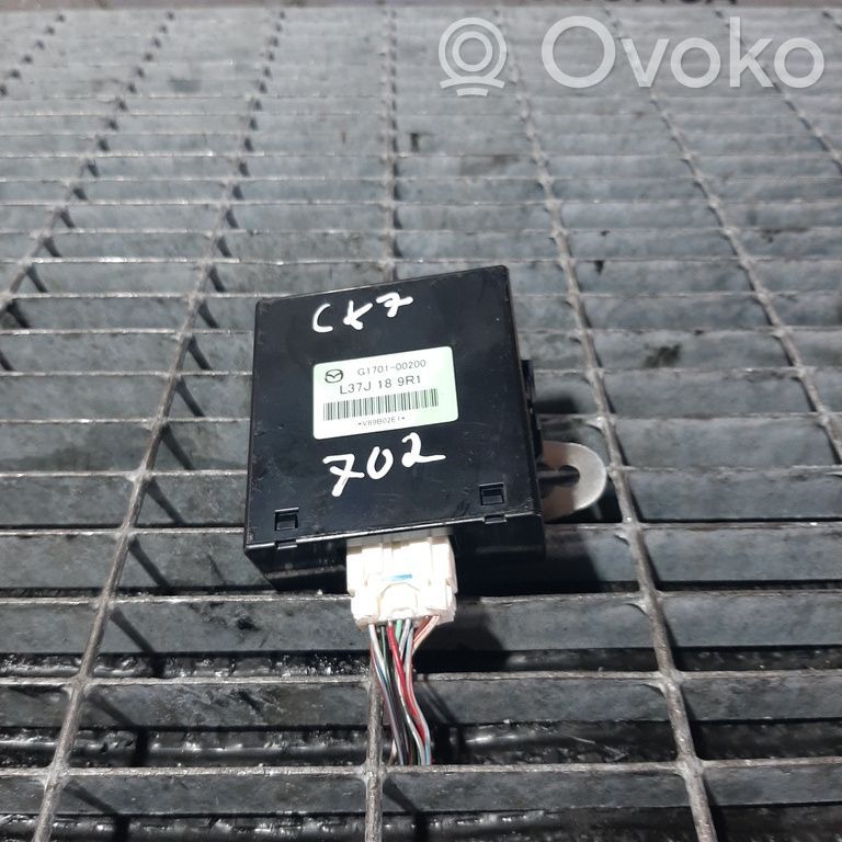Other control units/modules   G170100200