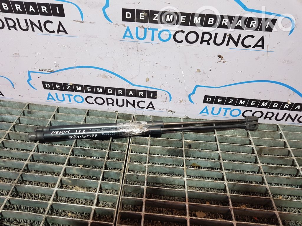Tailgate/trunk strut/damper