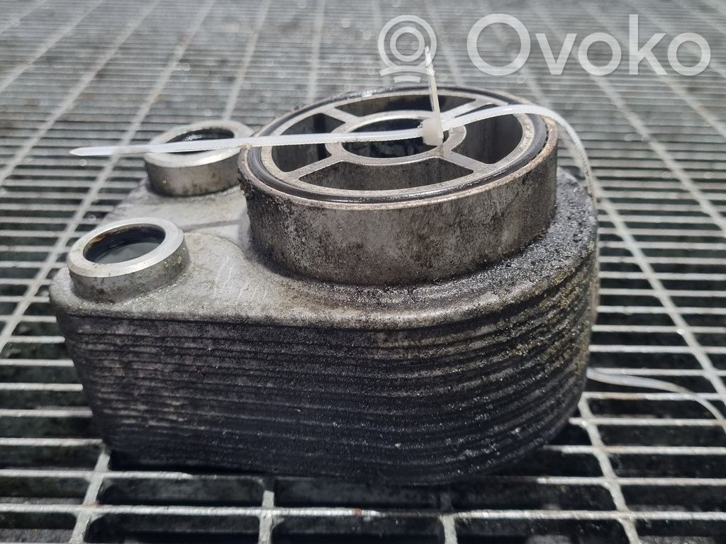 Nissan Juke I F15 Engine oil radiator 