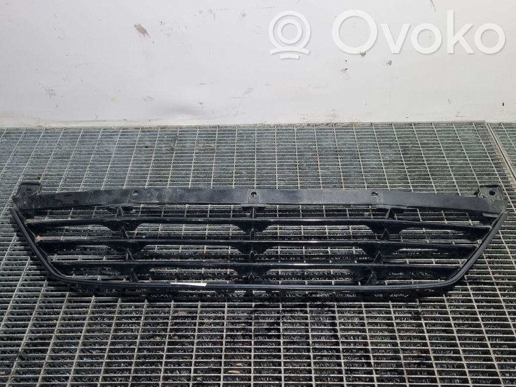 Front grill   PARTEADEJOS