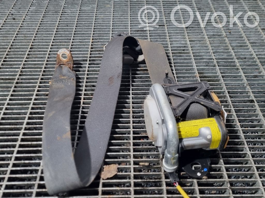 Cinturón delantero   TTCAF2MS038