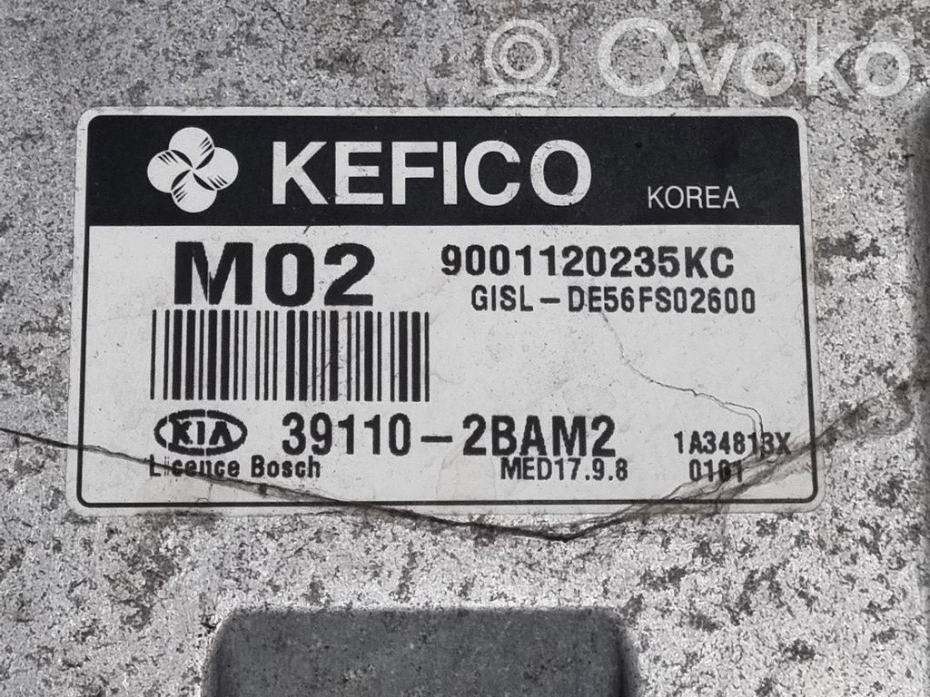 Engine control unit/module ECU   391102BAM2