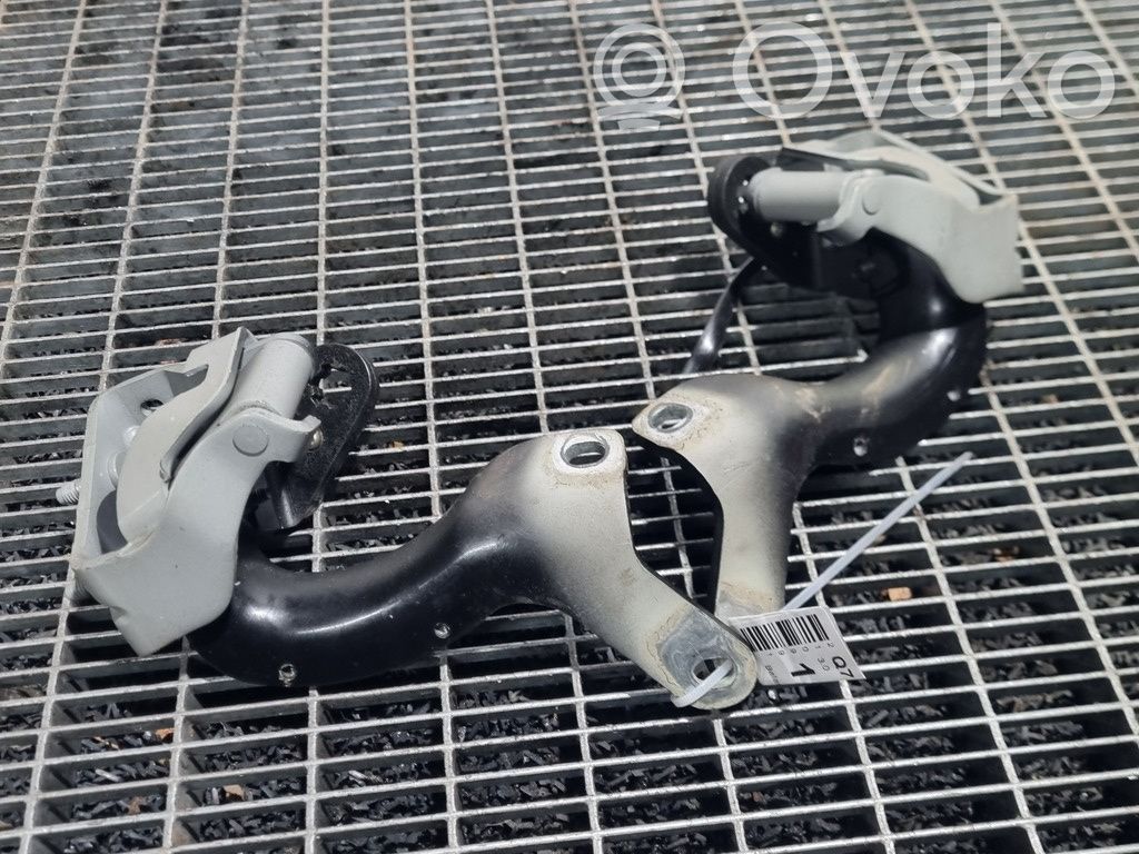 Tailgate/trunk/boot hinge