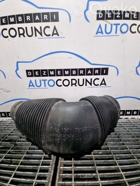Mini Cooper Countryman R60 Furtun/conductă intercooler 
