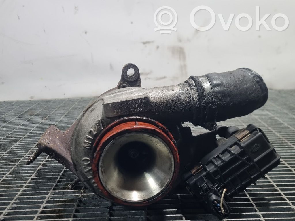 Turbo   31219857