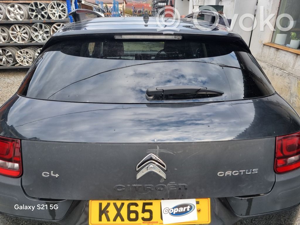 Citroen C4 Cactus Galinis dangtis (bagažinės) 