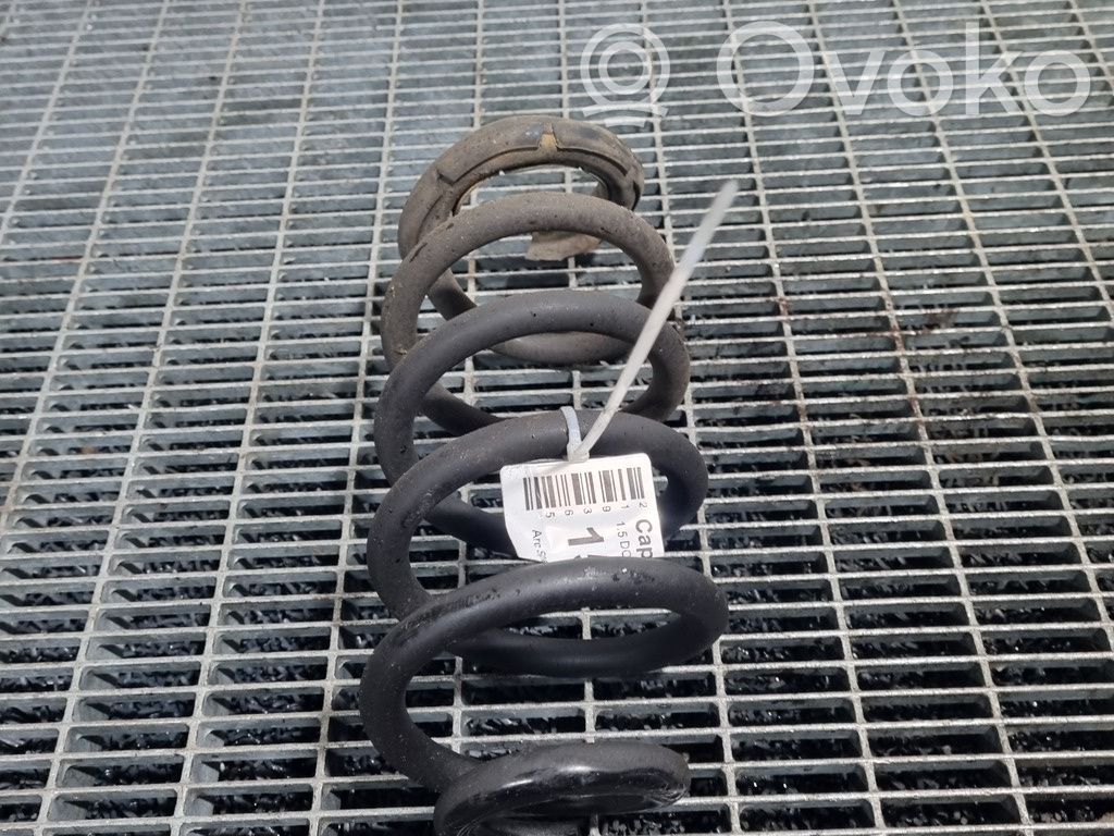 Rear coil spring