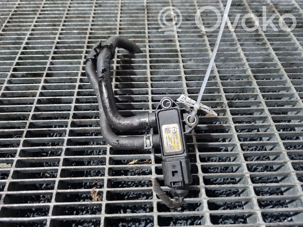 Kitas daviklis   SH01182B2