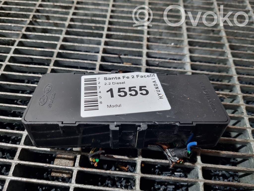 Hyundai Santa Fe Alte unități/module de control 