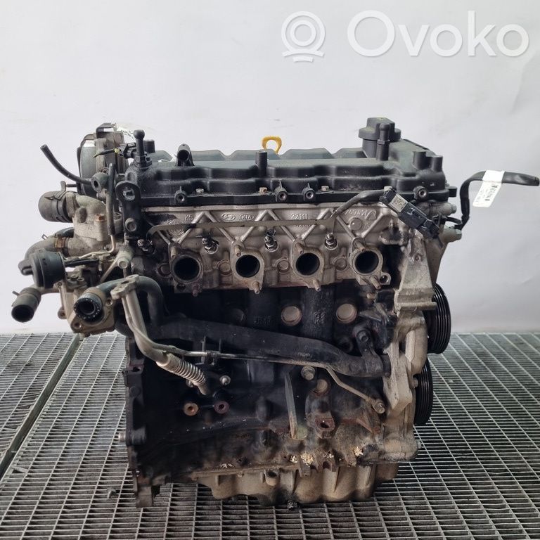 KIA Sportage Motor 