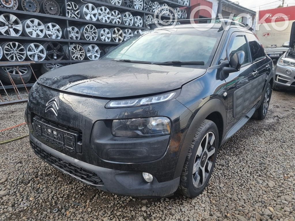 Citroen C4 Cactus Geam ușă spate 