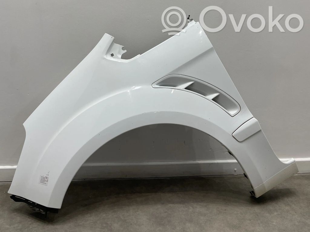 Ford S-MAX Guardabarro 
