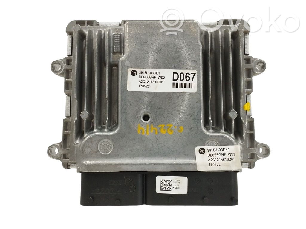 Engine control unit/module   391B103DE1,A2C1214810201
