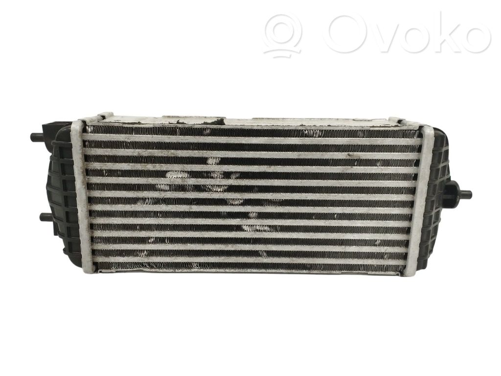 Interkūlerio radiatorius   282702A480