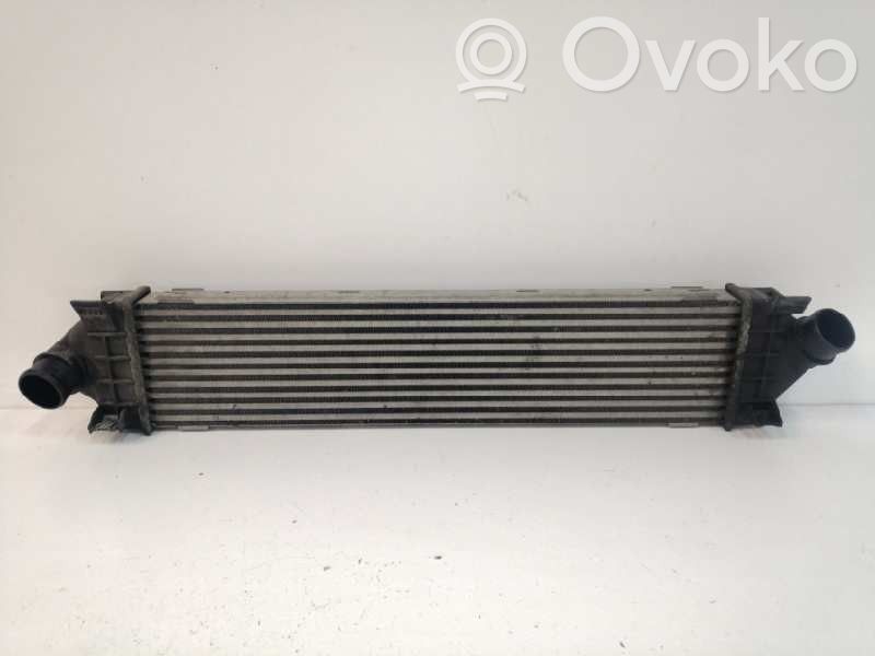 Intercooler radiator   6G919L440FD