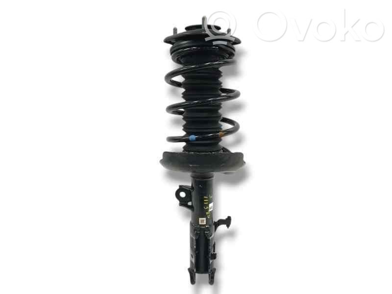 Front shock absorber with coil spring   4852002M80