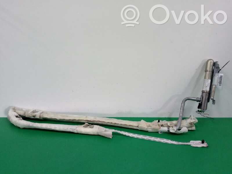 Front door airbag   8200215834