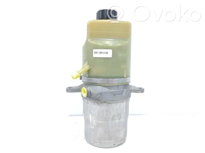 Power steering pump   3M513K514DG