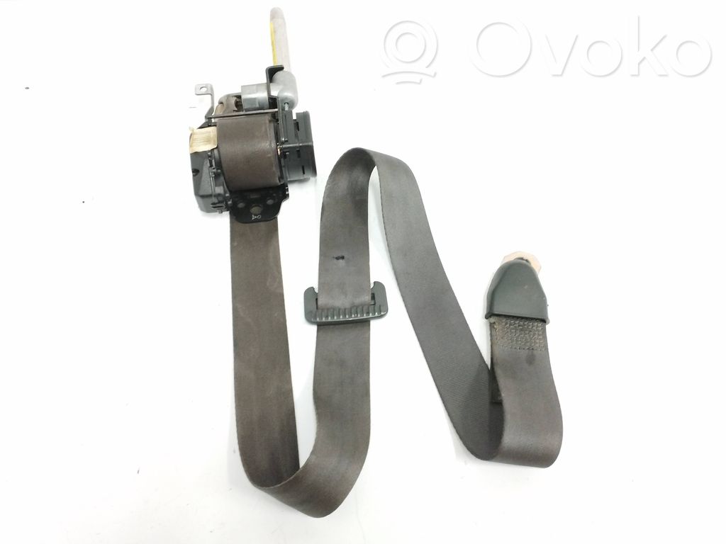 Cinturón delantero   570492910