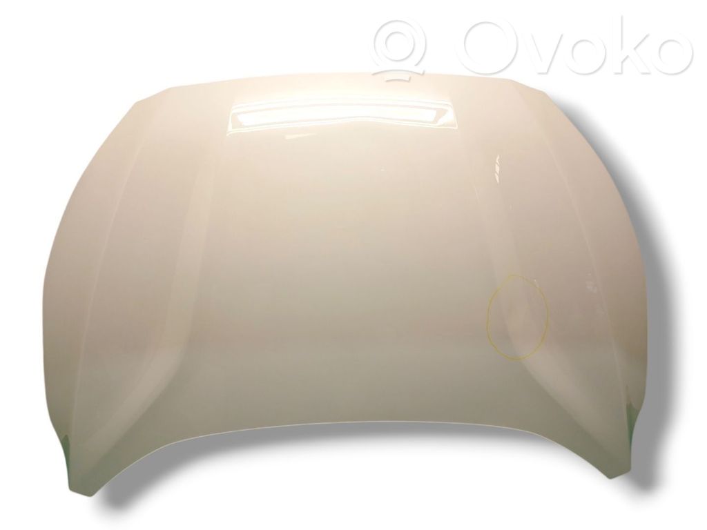 Motorhaube   2513128