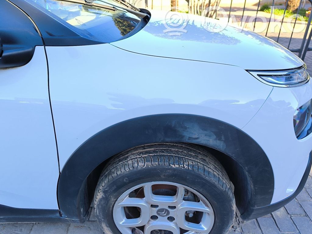 Citroen C4 SpaceTourer Крыло 