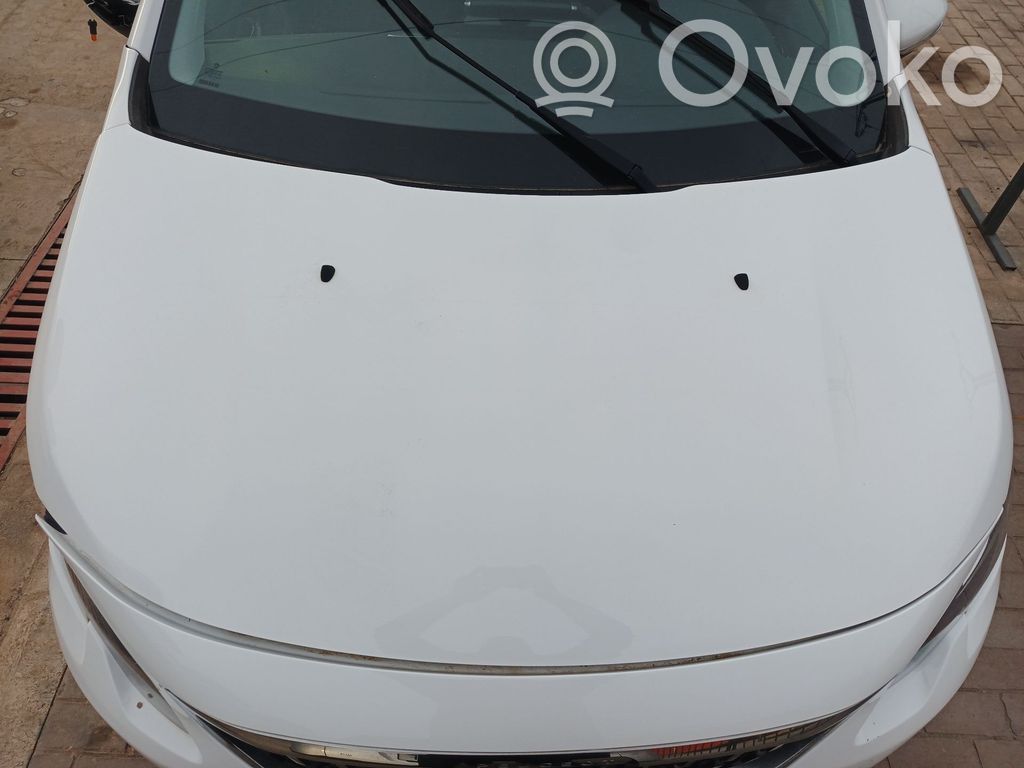 Motorhaube   9814028780