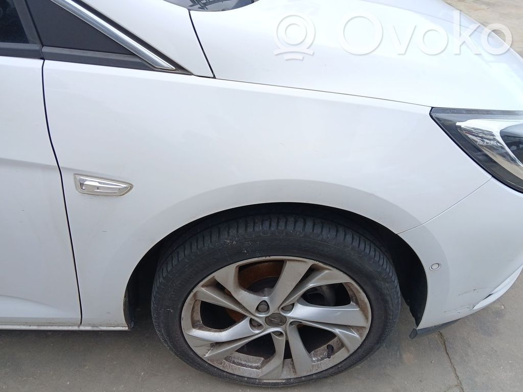 Guardabarro   39011391