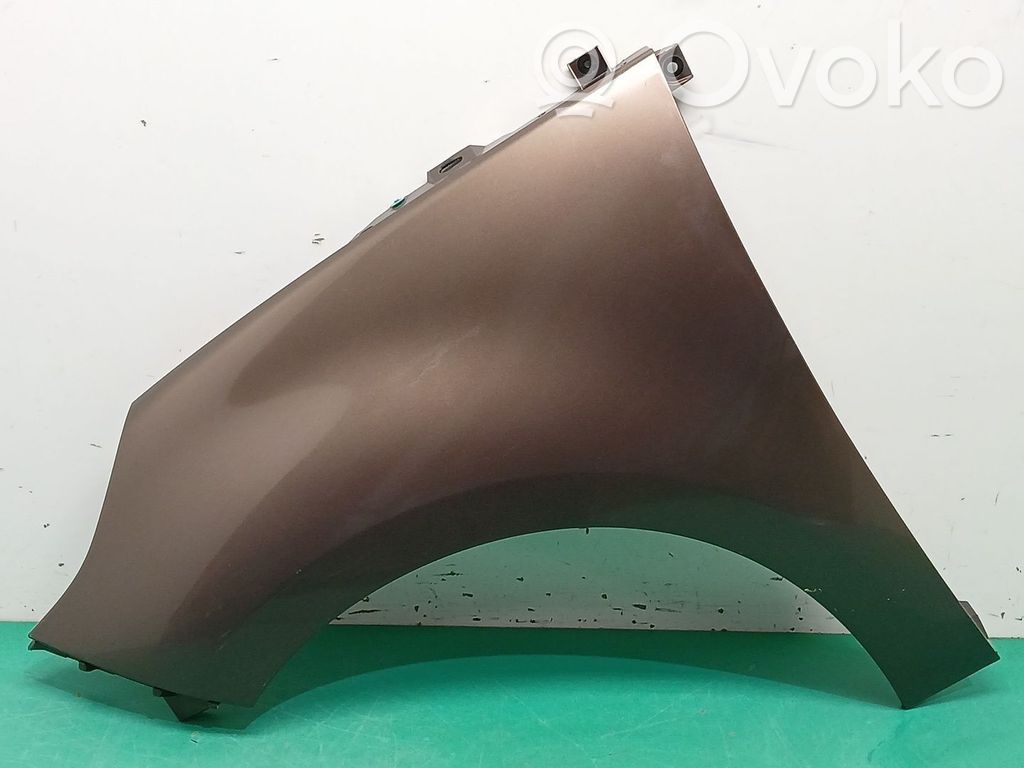 Guardabarro   631017581R