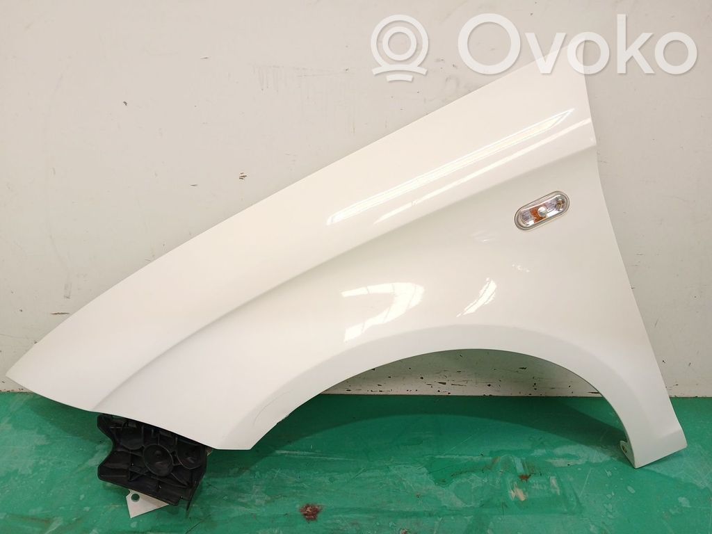Guardabarro   5P0821021A