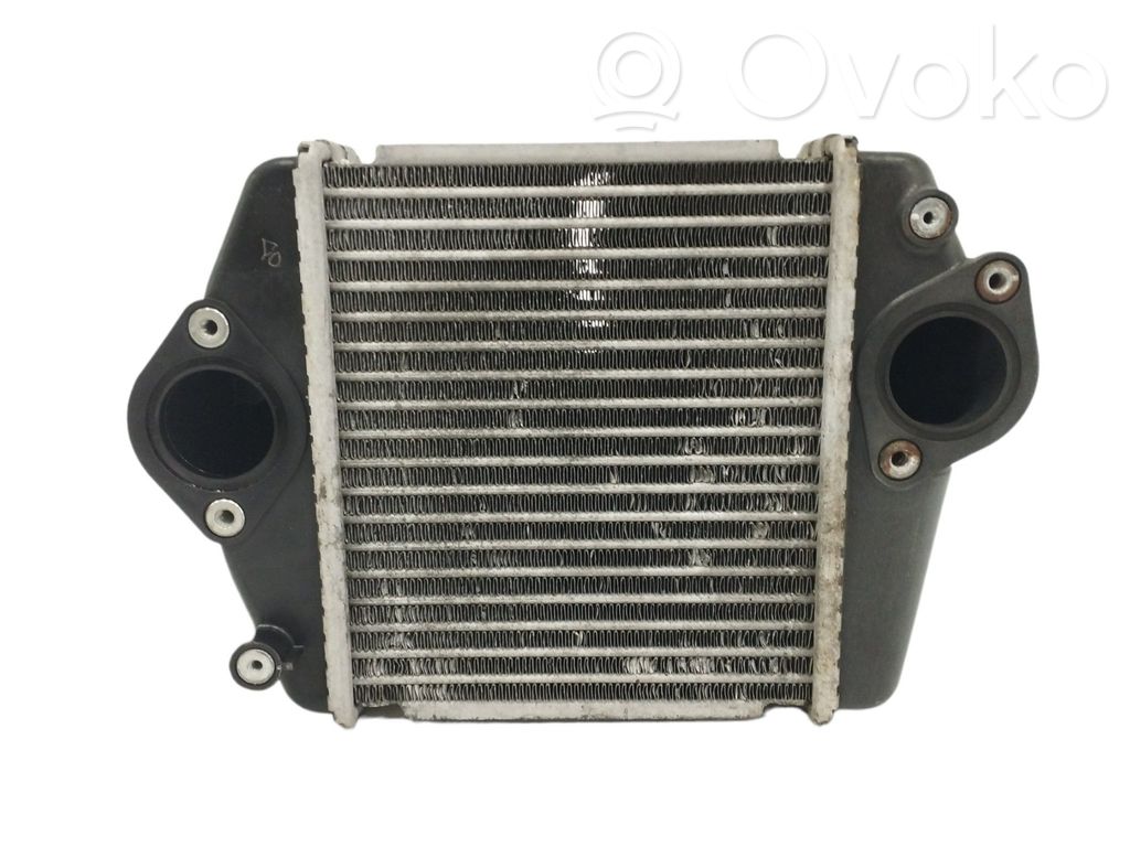 Interkūlerio radiatorius   R2AX13565,1271003730