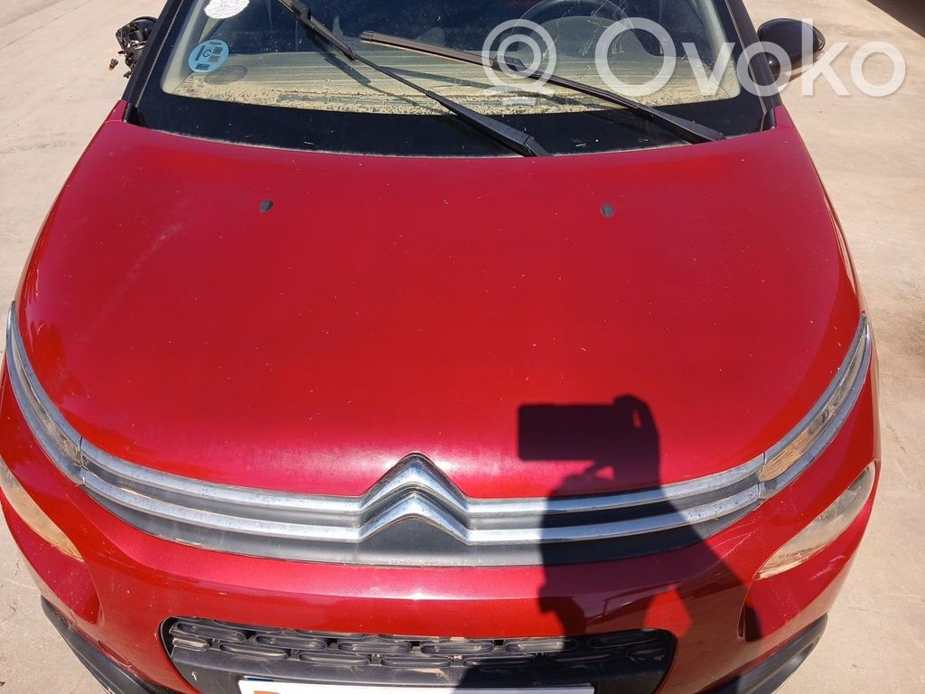 Motorhaube   9812723280
